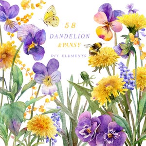 Image clipart pissenlit aquarelle, images florales numériques pour la fabrication de cartes, pensées aquarelles dessinées à la main, éléments séparés de fleurs violettes jaunes