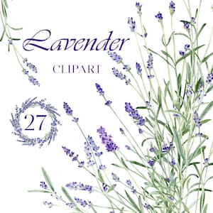 Clipart de lavanda em aquarela, clipart floral, flores em aquarela, clipart de flor roxa, coroa de lavanda, imagens florais digitais para fazer cartões