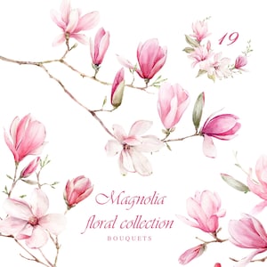 Aquarell Frühlingsblumen Clipart, Magnolien Clipart png, Aquarell rosa Blumen, digitale florale Grafikbilder, Herstellung von Hochzeitskarten