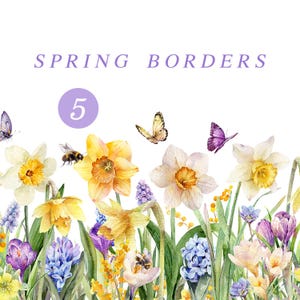 Clipart fleurs printanières aquarelle, bordure florale printanière, clipart jonquilles, png graphique floral crocus, fleur jaune aquarelle