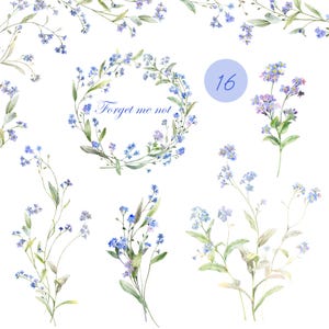 Clipart di nontiscordardime ad acquerello, clipart di bordi floreali, fiori ad acquerello blu, nontiscordardime png, cornice di fiori, immagini floreali digitali