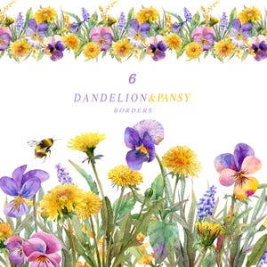 Clipart fleurs printanières aquarelle, bordure florale, clipart pissenlit, pensées, fleur aquarelle violet jaune, graphique floral printanier png