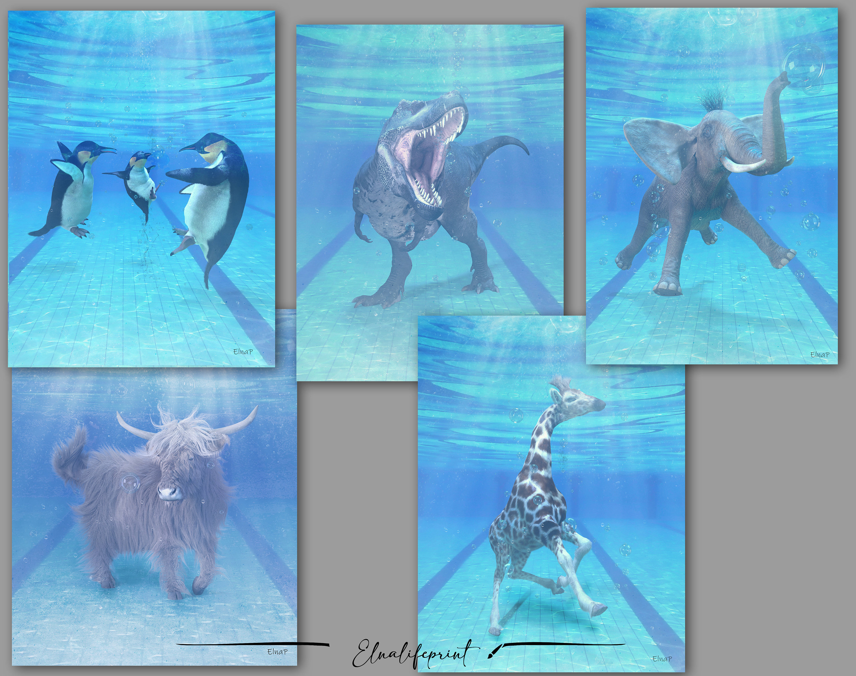 Giraffe in the Toilet Wall Art Giraffe Photo Giraffe Art Etsy Canada