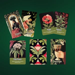 Paquete de Tarot y Oráculo Nightshade de Hattie Thorn. ¡Especial de 2 barajas!