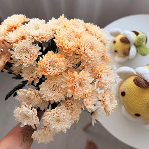 K&ouml;nnte beinhalten: Ein Strau&szlig; pfirsichfarbener Chrysanthemenbl&uuml;ten mit zahlreichen Bl&uuml;ten. Die Blumen werden in der Hand einer Person gehalten. Zwei kleine, gelb-gr&uuml;ne Bienen-Pl&uuml;schtiere liegen auf einem wei&szlig;en Tisch.