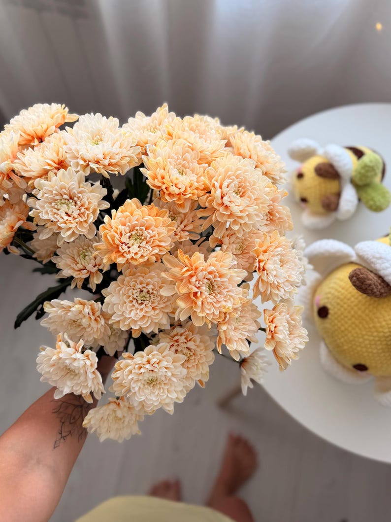 K&ouml;nnte beinhalten: Ein Strau&szlig; pfirsichfarbener Chrysanthemenbl&uuml;ten mit zahlreichen Bl&uuml;ten. Die Blumen werden in der Hand einer Person gehalten. Zwei kleine, gelb-gr&uuml;ne Bienen-Pl&uuml;schtiere liegen auf einem wei&szlig;en Tisch.