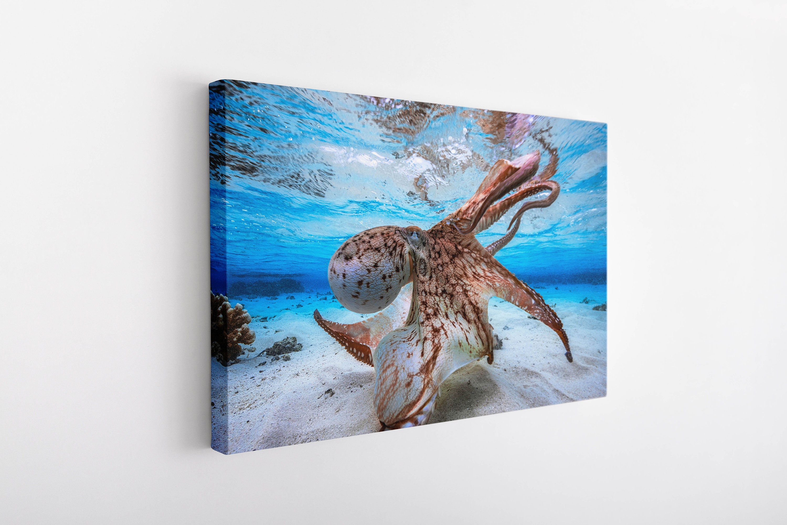 Octopus Canvas Octopus Art Gallery Wall Set Octopus Print Split Canvas