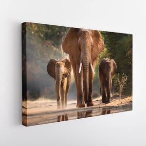 Elephants Family Canvas Painting Art, Animals African Wall Decor, Wall Art, Modern Print Art, Herd of Elephants Poster, Wall Hanging Canvas