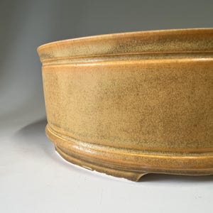 May include: A round, shallow ceramic bonsai pot with a mustard-yellow glaze and a speckled, textured finish. The vessel features a raised horizontal band near the top rim and a slightly flared base with small, integrated feet for elevation.