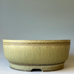 May include: A round, shallow ceramic bonsai pot with a muted chartreuse glaze. The exterior features a vertical drip pattern and a textured, dark brown rim and base. The base includes a small, arched drainage cutout at the bottom edge.