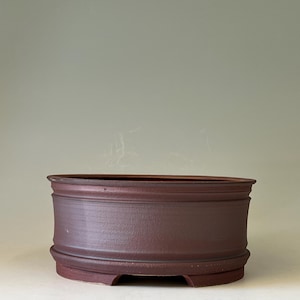 May include: A dark brown, oval-shaped ceramic bonsai pot with a matte finish. The pot features a wide, flat rim at the top, a slightly recessed central body, and a thick, raised base with small cutouts along the bottom edge for drainage.
