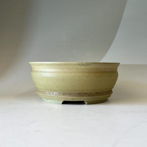May include: A round ceramic bonsai pot with a matte, light olive-green glaze. The bowl features a flared rim, a smooth upper body, and a textured, speckled band around the lower section, resting on a short, recessed base with small feet.