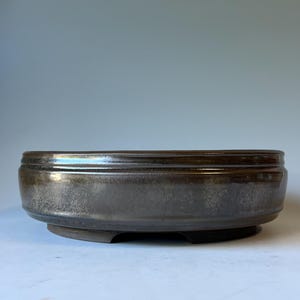 May include: A low, round ceramic bonsai pot with a dark, metallic brown glaze. The vessel features a smooth, slightly reflective surface, a raised rim around the top edge, and a recessed base with small feet for elevation.