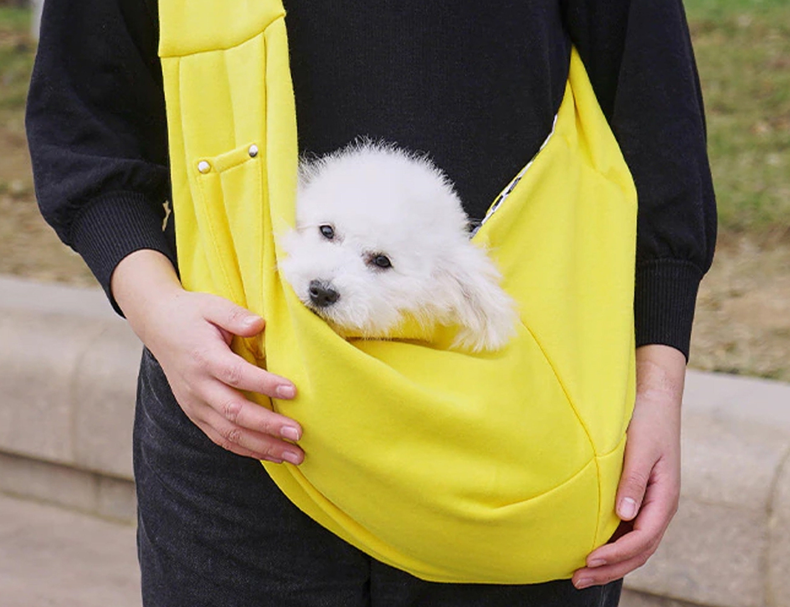 Designer Dog Carrier - Etsy Designer Dog Carrier - Etsy