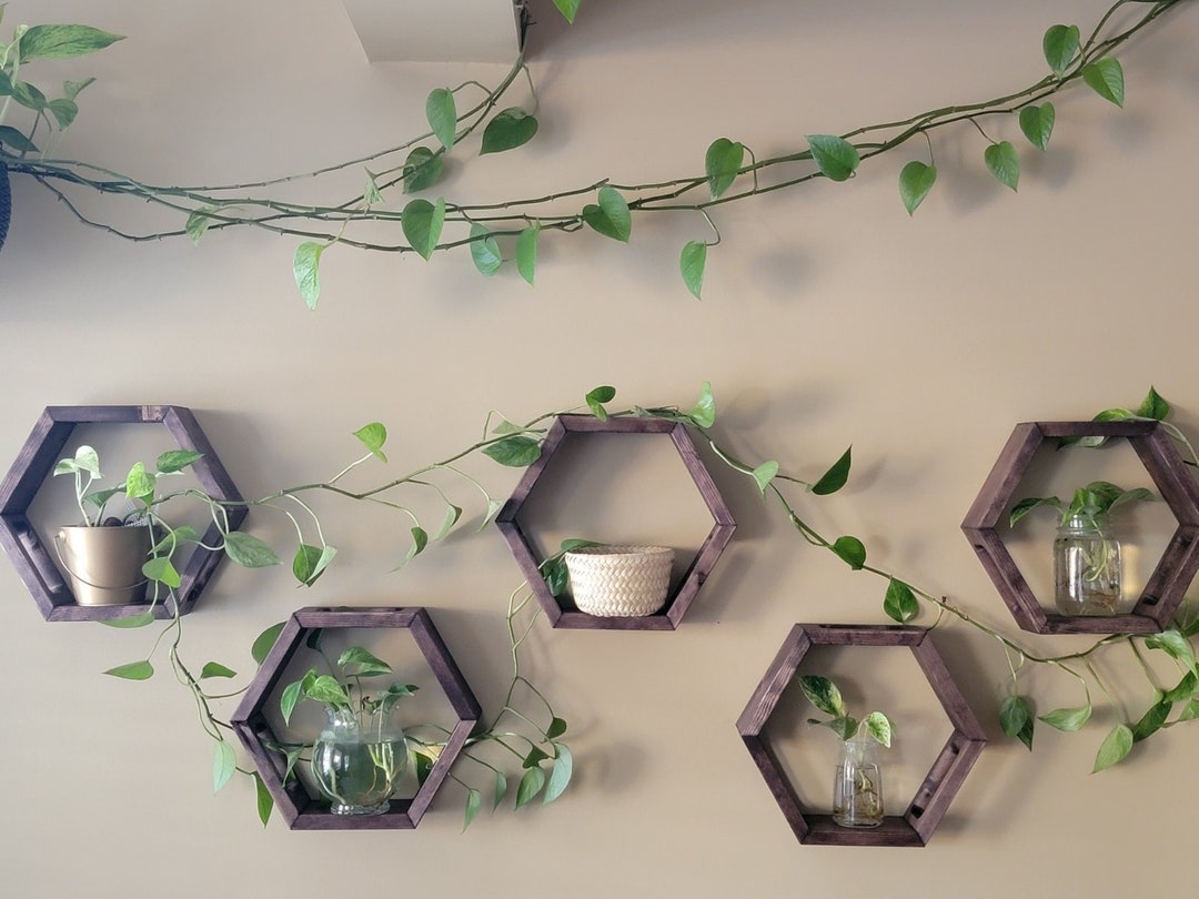 Hexagon Shelf Espresso free Removable Shelf Insert Etsy
