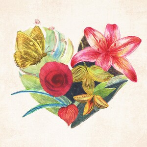 Bloemenhart - Valentijnsdag - With love-wenskaart - Botanische gevouwen kaart - Butterfly Monstera Lily - Love u - Valentijnsdagkaart - Eco