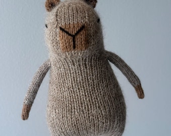 Ready to Ship – Handmade Knitted Capybara Toy | Flower Hat Plush | Cozy Nursery Decor Gift