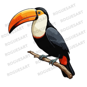 Toucan PNG, Sticker, Clipart, Digital Download, Printable, Sublimation, Transparent