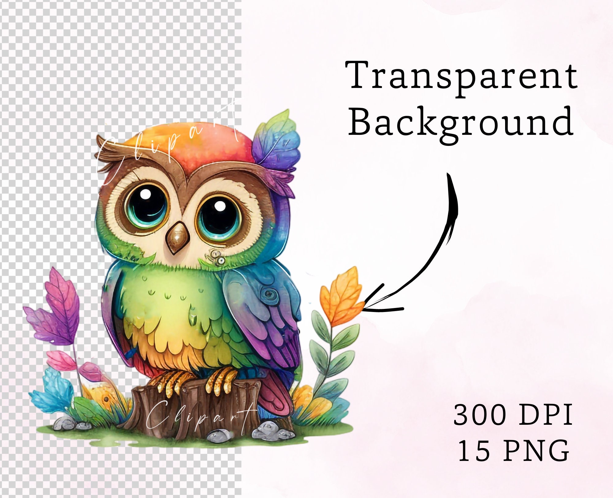 16 Png Cute Owl Clipart PNG, Bright Colorful Owl Clipart PNG, Bundle ...