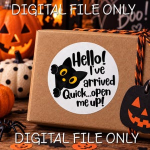 May include: A round white sticker on a brown cardboard box featuring a black cat illustration with orange eyes and the text: Hello! I've arrived Quick...open me up! The sticker is surrounded by orange and black twine and Halloween decorations.