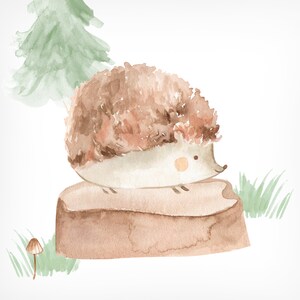May include: Watercolor illustration of a cute hedgehog sitting on a tree stump. The hedgehog has brown and tan fur, a light-colored belly, and a small, round nose. A green tree and grass are in the background. The artwork has a whimsical, storybook feel.