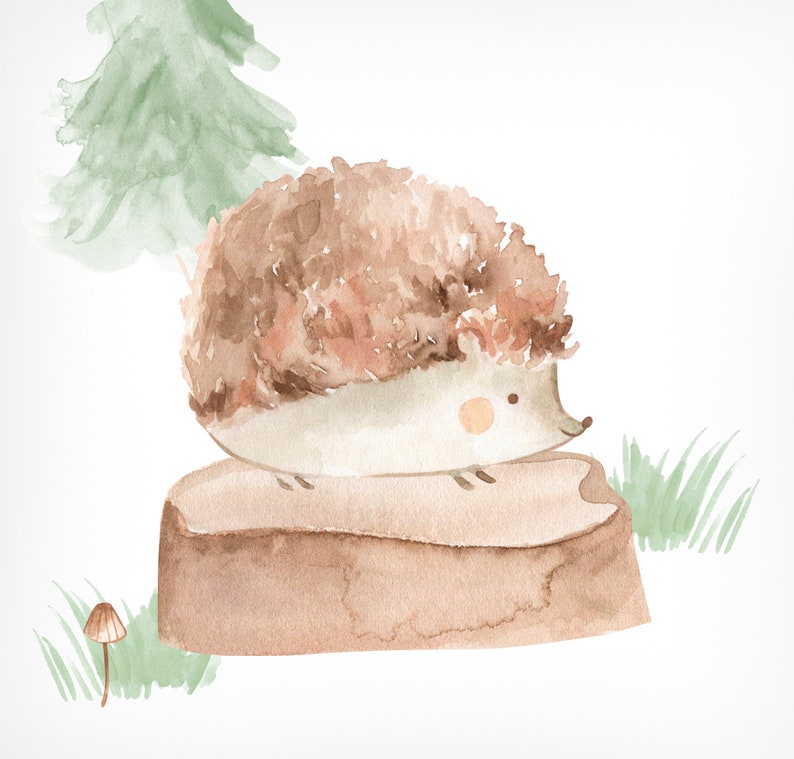 May include: Watercolor illustration of a cute hedgehog sitting on a tree stump. The hedgehog has brown and tan fur, a light-colored belly, and a small, round nose. A green tree and grass are in the background. The artwork has a whimsical, storybook feel.