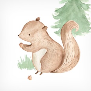 May include: Watercolor illustration of a brown squirrel holding an acorn. The squirrel is depicted with a fluffy tail and fur, set against a backdrop of green grass and a watercolor pine tree. A second acorn is on the ground.