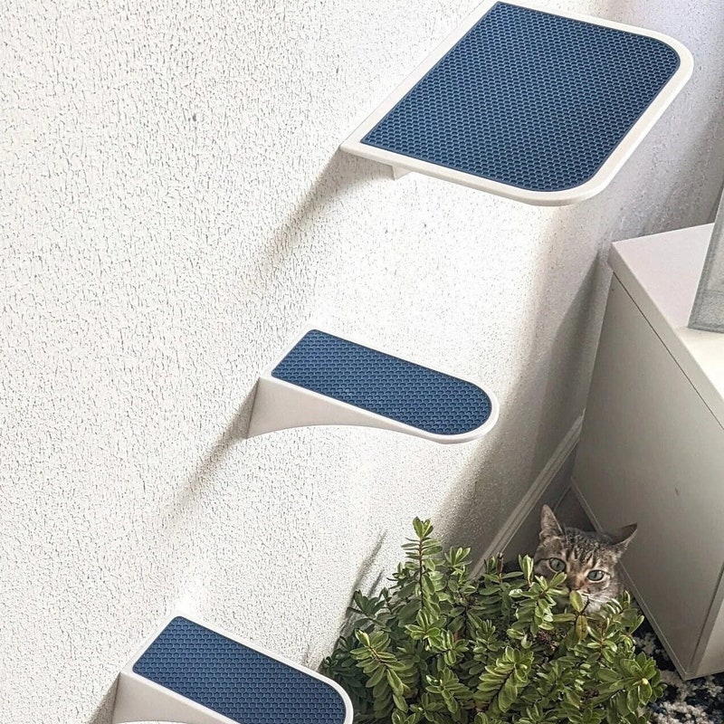 Cat Wall Steps - Etsy