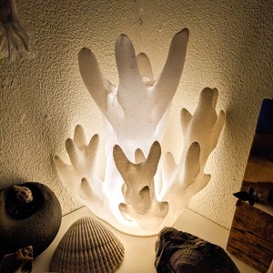 Korallenlampe + Geschenk für Sie | RGB LED REMOTE, Strandgeschenke für Mädchen, Korallenriffdekor, Aqua-Stranddekor, moderne Außenbeleuchtung, Strandnacht