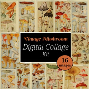 Vintage Mushroom Cards 1970s scrapbooking JPG clipart Collage Kit