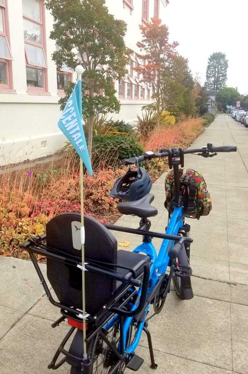 May include: A blue electric bicycle with a child seat and a backpack attached to the handlebars. The bicycle has a flag attached to the back that says "CENTALE".