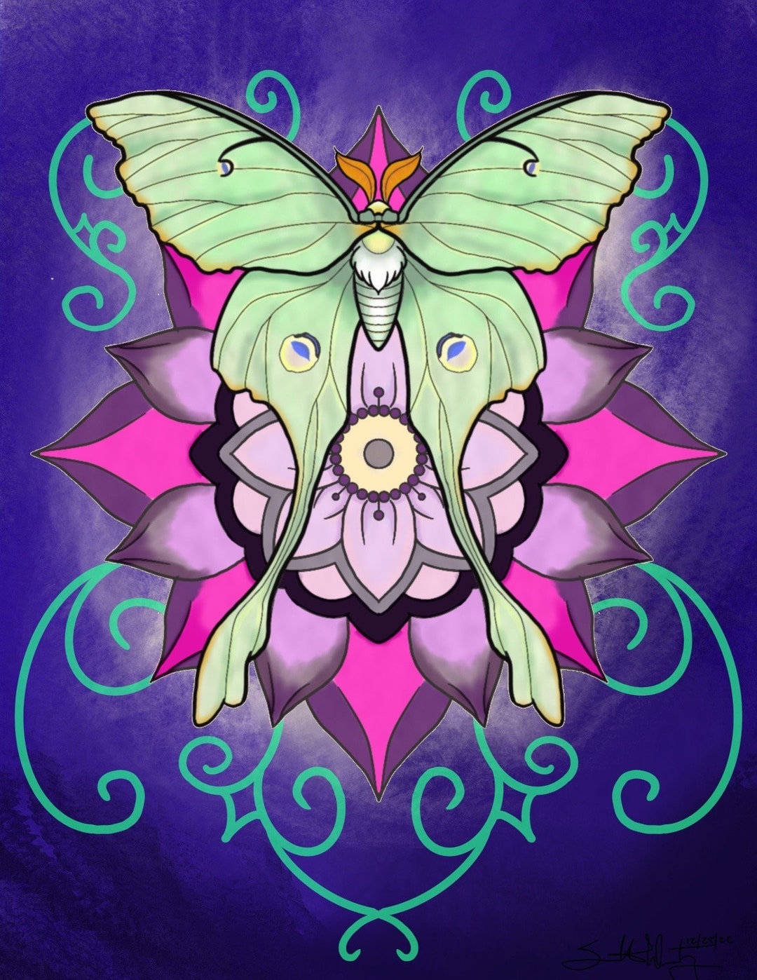 Luna Moth With Pink Flower Art Print Wall Art Home Decor - Etsy