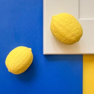 以下が含まれることがあります： 青と白の背景に、2つの明るい黄色のレモン。1つのレモンは白い面に、もう1つは青い面にあります。この構成には黄色の部分が含まれており、鮮やかでカラフルなアレンジメントになっています。
