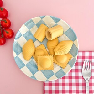 May include: A blue and white checked plate with various types of pasta, including ravioli, shells, and tubes. The plate is on a pink surface with a red and white checked napkin and a silver fork.