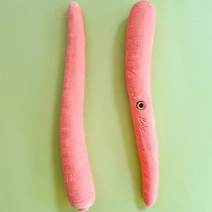 May include: Two pink, elongated objects, possibly tools or art supplies, are displayed against a light green background. One object has a circular detail and the word "Kala" inscribed on it. The objects have a textured surface.