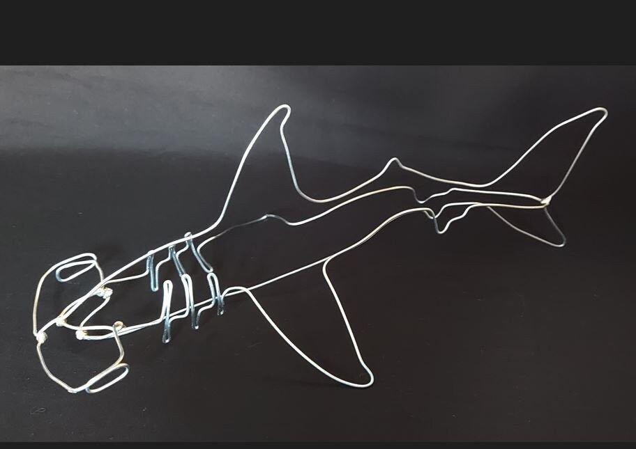 Hammer Head Shark / BYE MY NAKED | The Domestic
