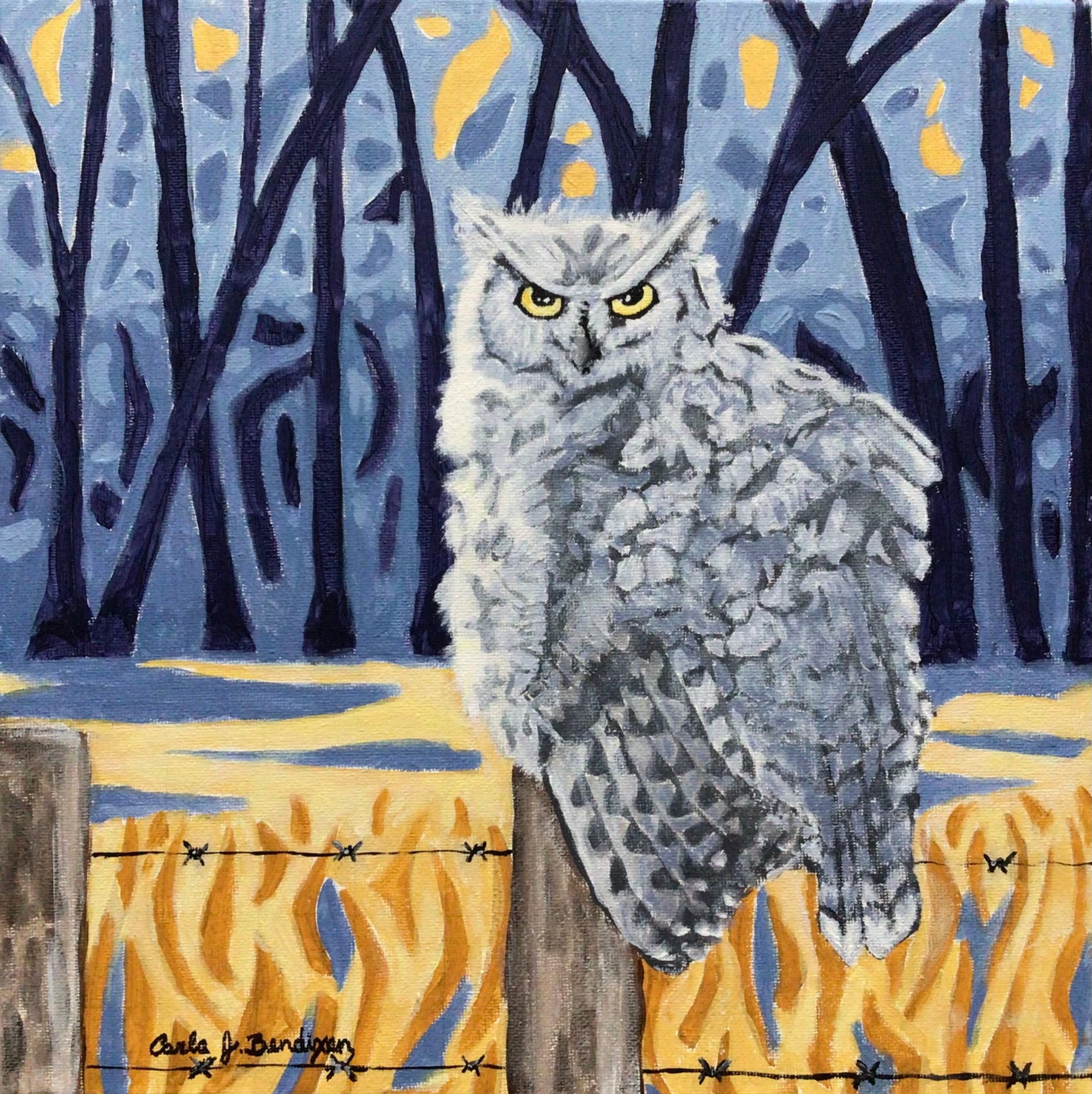 The Wise Owl is an original acrylic painting on canvas great horned owl abstract art artwork colourf