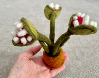 Naaldvilten venusvliegenval: wollen monsterplantdecor