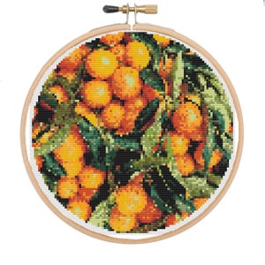 Cross stitch pattern orange Cross stitch pattern citrus Cross stitch pattern kitchen Counted cross stitch patterns Instant download PDF