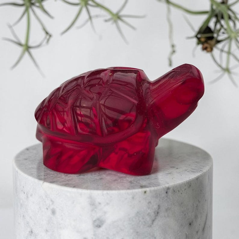 Detailed Shell Template Scarlet Shift Krafttier Schildkröte Mit Verbindung Zu Elohim Pazifika ...