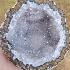 4.28" Las Choyas Coconut Geode with Quartz Crystals and Goethite Crystals