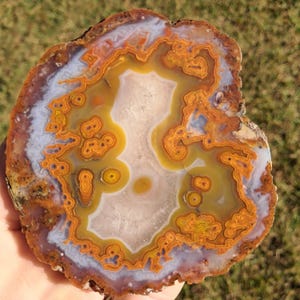 Moroccan agate from the high atlas mountains, also known as hama agate. Polished eye agate mineral specimen with quartz.