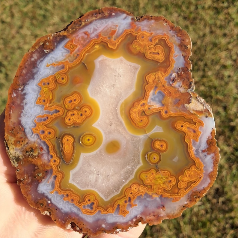 Moroccan agate from the high atlas mountains, also known as hama agate. Polished eye agate mineral specimen with quartz.