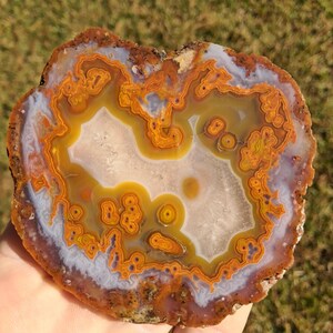Moroccan agate from the high atlas mountains, also known as hama agate. Polished eye agate mineral specimen with quartz.