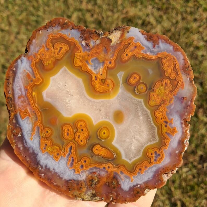 Moroccan agate from the high atlas mountains, also known as hama agate. Polished eye agate mineral specimen with quartz.