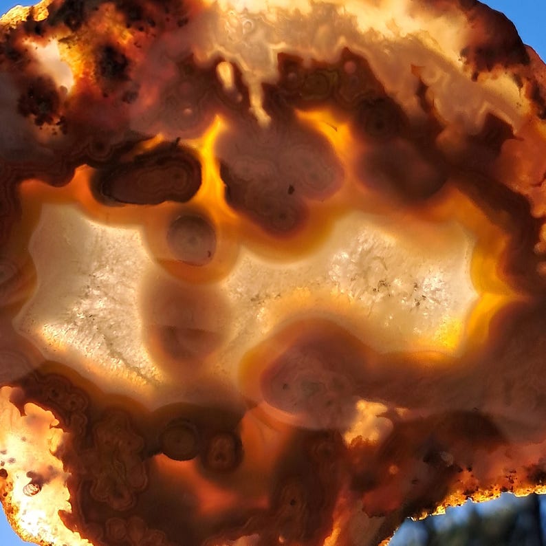 Moroccan agate from the high atlas mountains, also known as hama agate. Polished eye agate mineral specimen with quartz.