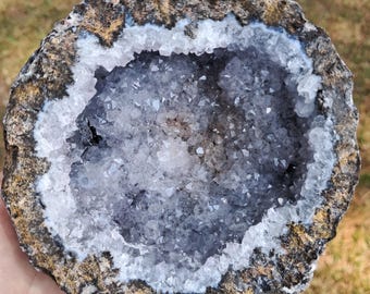4.33" Las Choyas Coconut Geode with Smokey Quartz Crystals