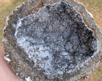 3.95" Las Choyas Coconut Geode with Smokey Quartz Crystals