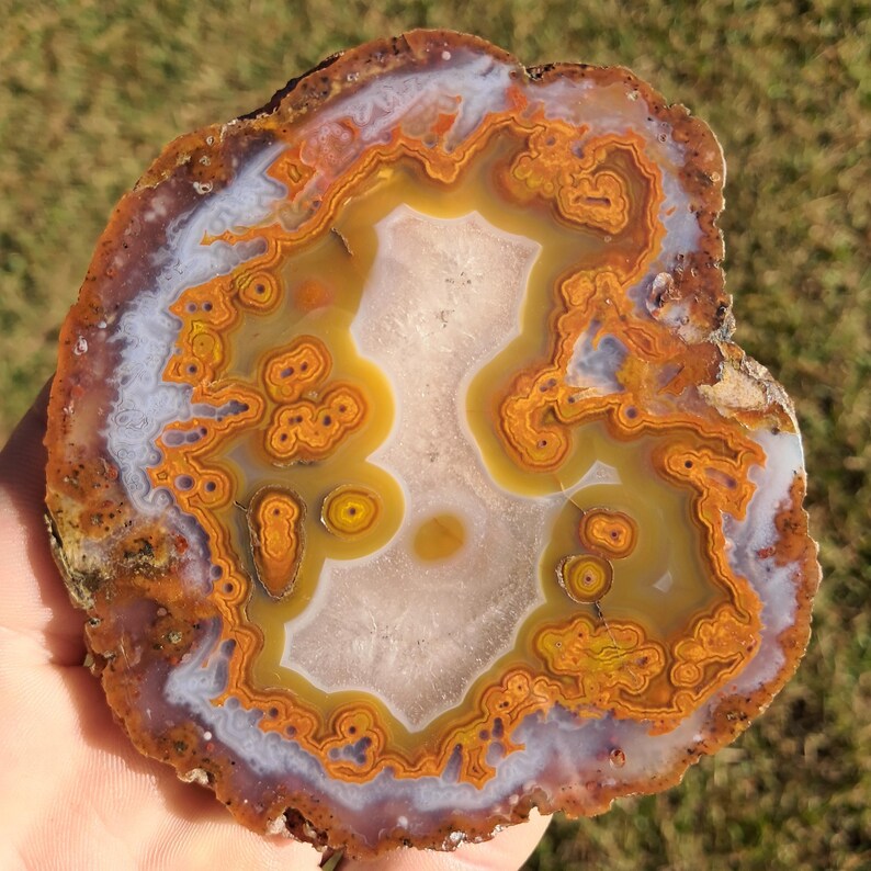 Moroccan agate from the high atlas mountains, also known as hama agate. Polished eye agate mineral specimen with quartz.