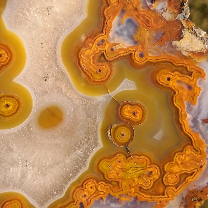Moroccan agate from the high atlas mountains, also known as hama agate. Polished eye agate mineral specimen with quartz.